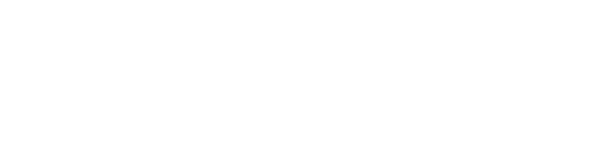 Brynic Solutions